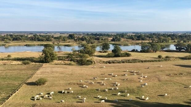 Ballonfahrt Brandenburg, Region Oderland-Spree