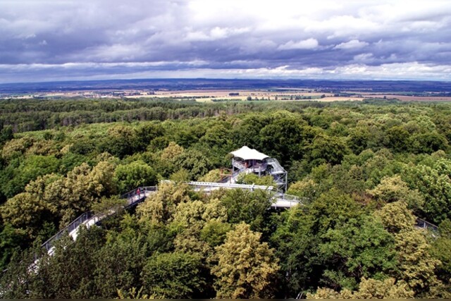 Ballonfahrt Gera, Raum Suhl, Ilmenau & Saalfeld (Thüringer Wald), Thüringer Wald 