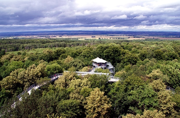 Ballonfahrt Thüringen, Thüringer Wald