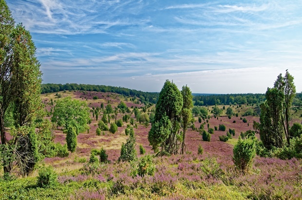 Ballonfahrt Niedersachsen, Lüneburger Heide