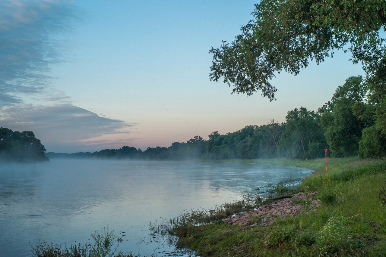 Morgengrauen in den Elbauen