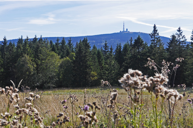 Ballonfahrt Sachsen-Anhalt, Harz