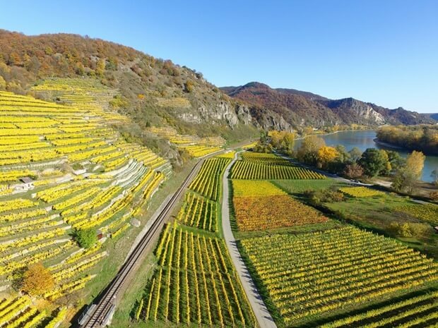Ballonfahrt Niederrhein Blick auf die Rheinlandschaft