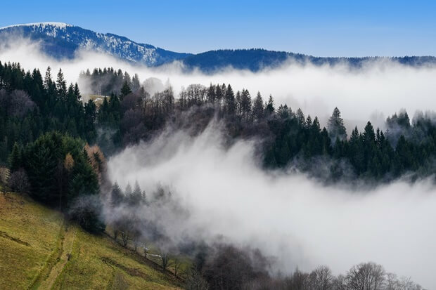 Ballonfahrt Bodensee, Blick über den Schwarzwald